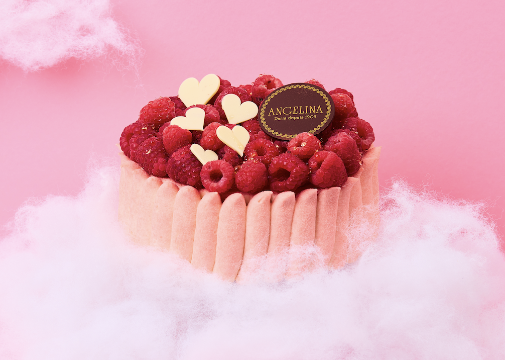 La Charlotte Framboise (6/8 pers)