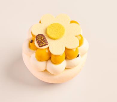 Pavlova Mangue Passion
