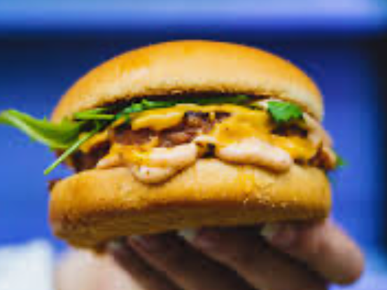 🍔CHEESE BURGER🇺🇲