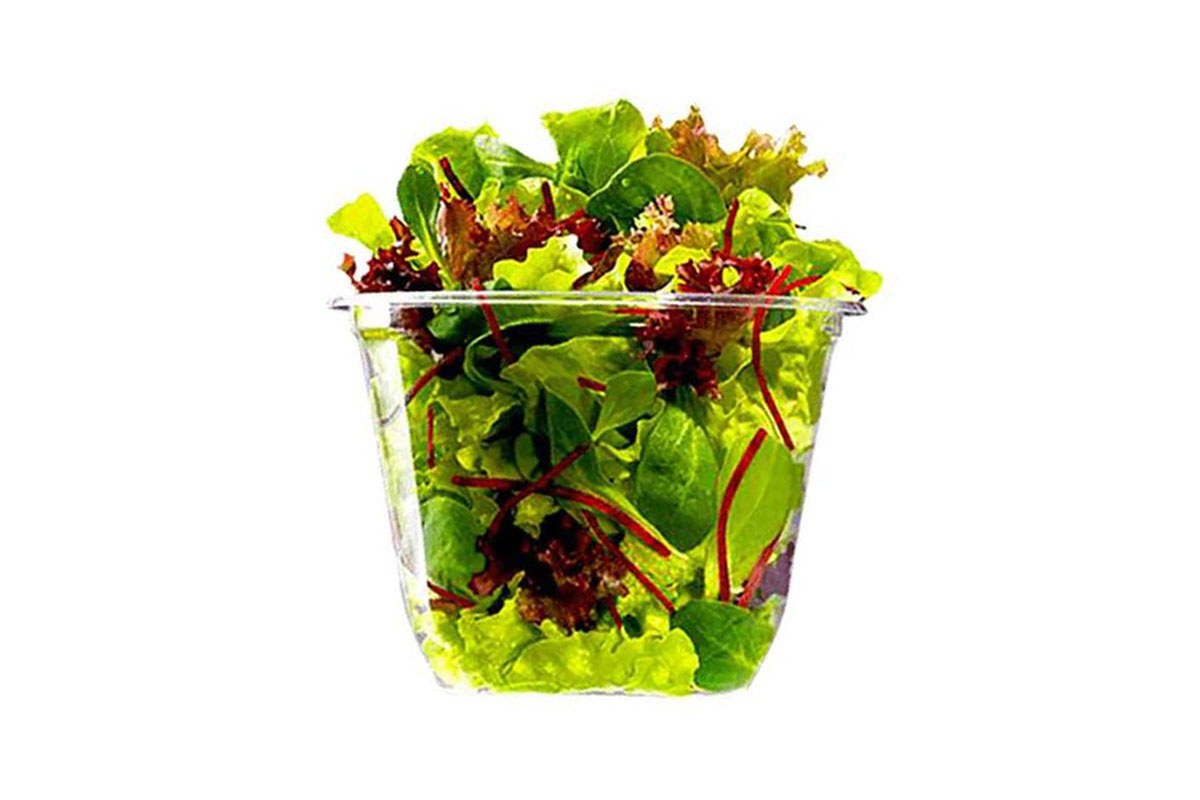🟢 Salade verte