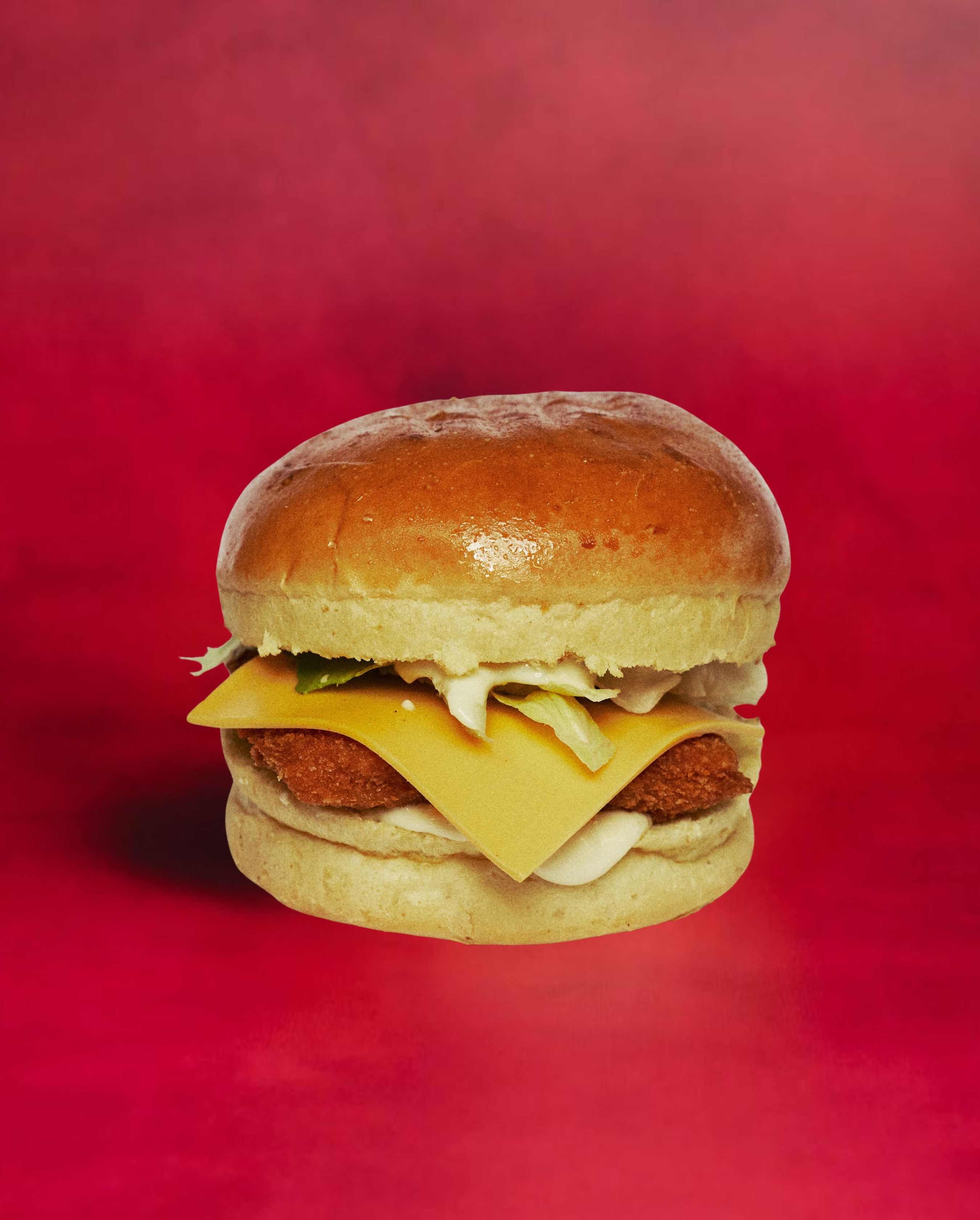 FISH Burger🐟