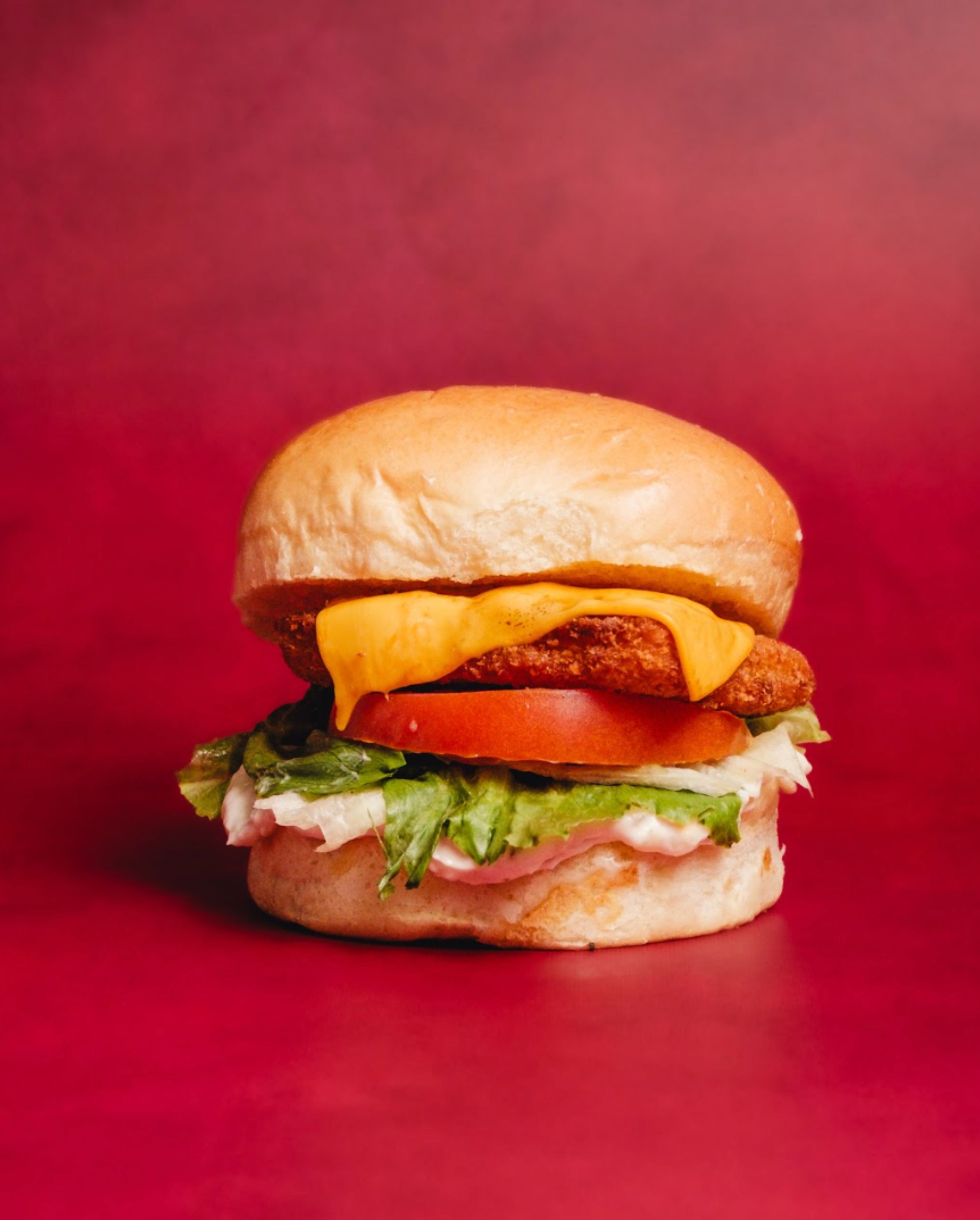 CHICKEN Burger🍗