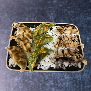 Gyoza Box