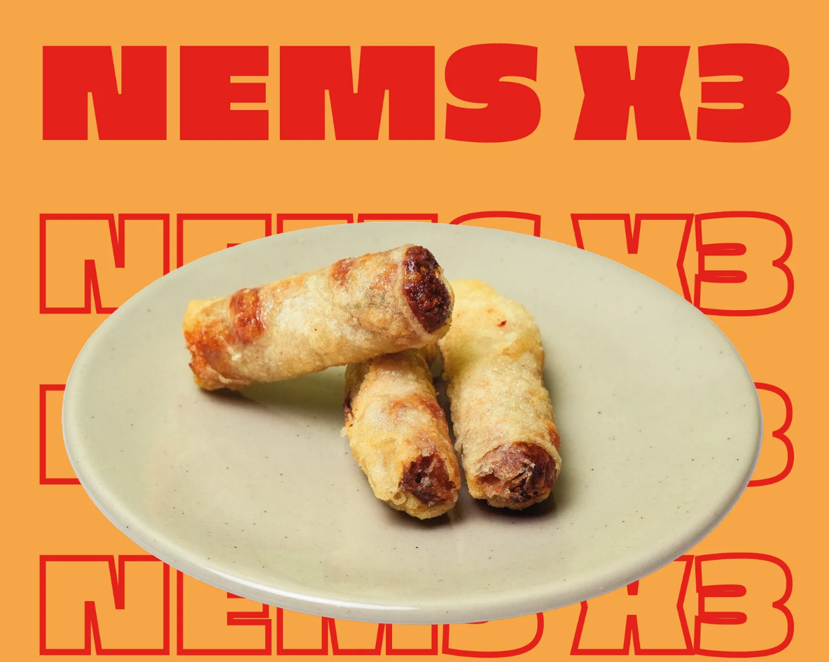 Nems au poulet x3