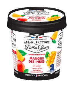 Sorbet en pot "Mangue des Indes"